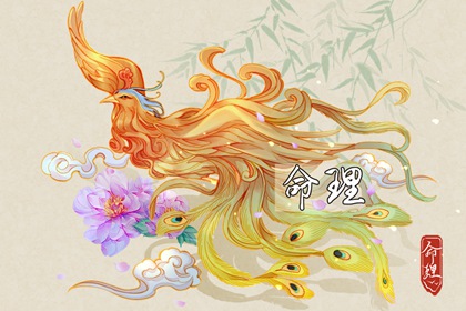 万年历日历,日历查询,日历表日历